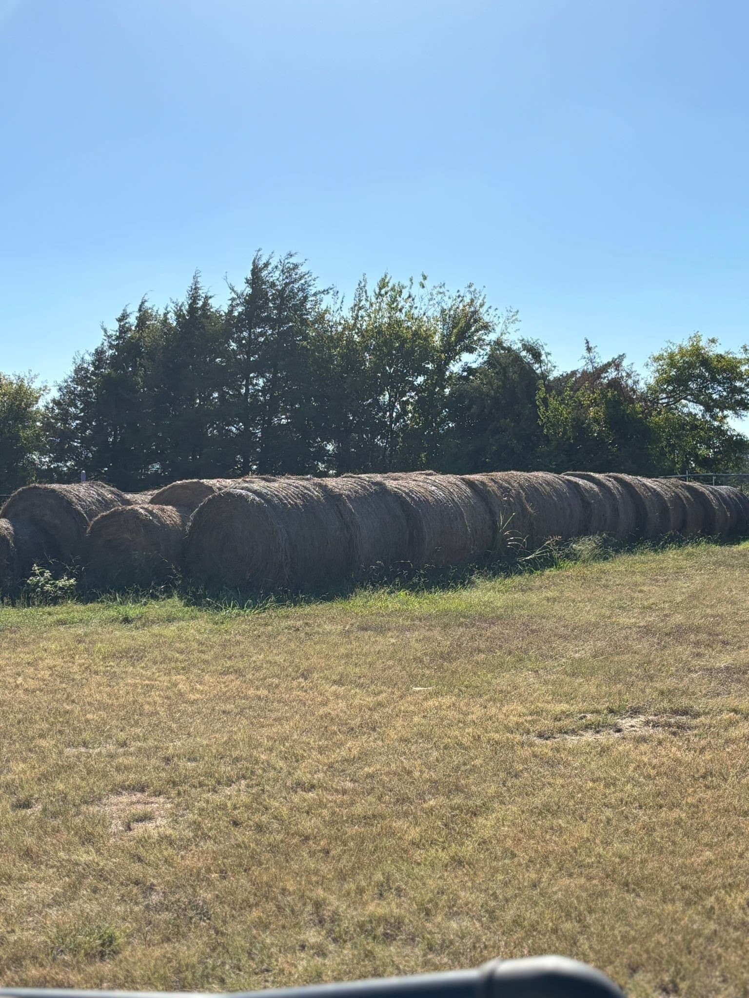 11 acres in Fannin County - photo 30