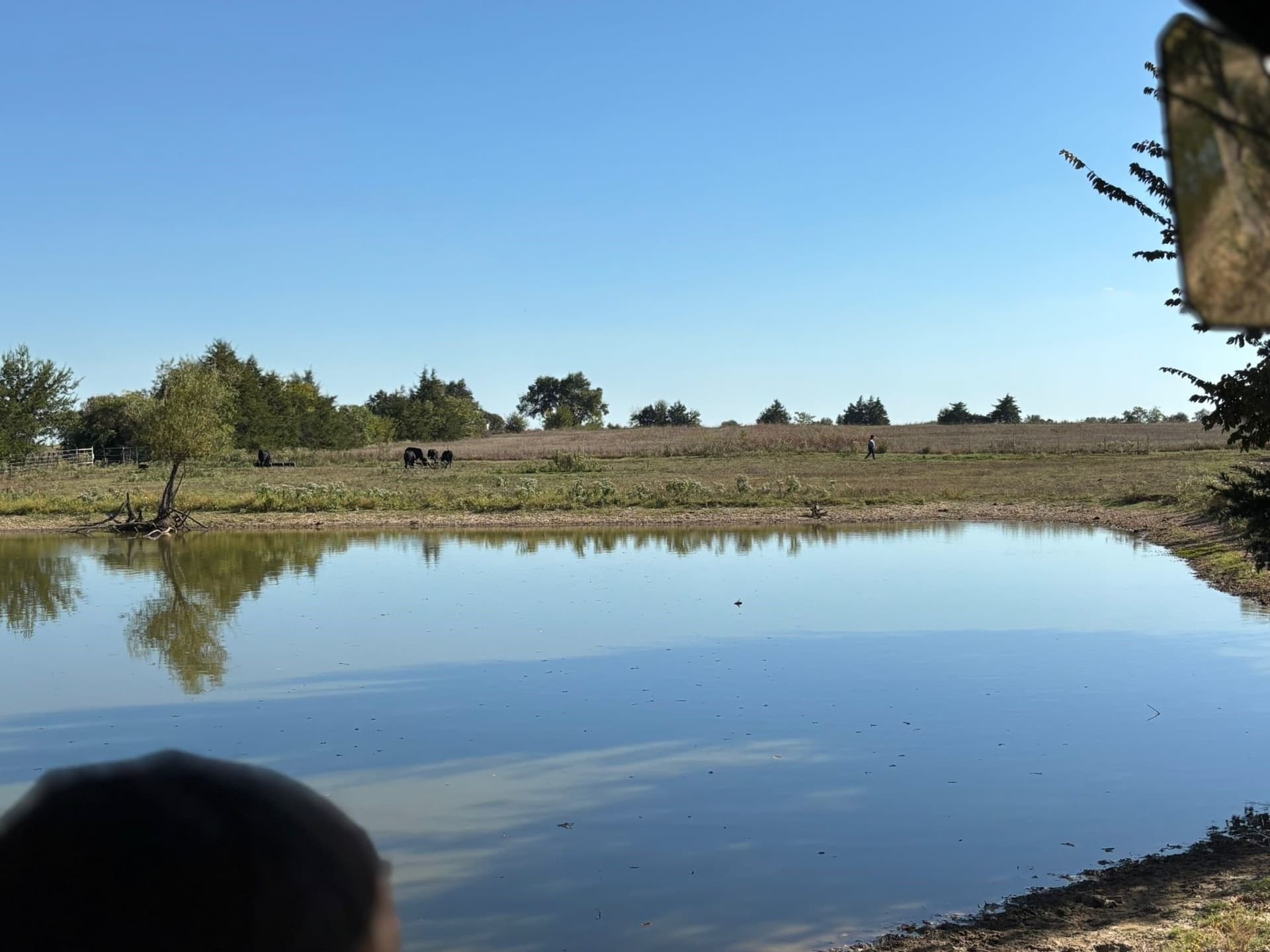11 acres in Fannin County - photo 40