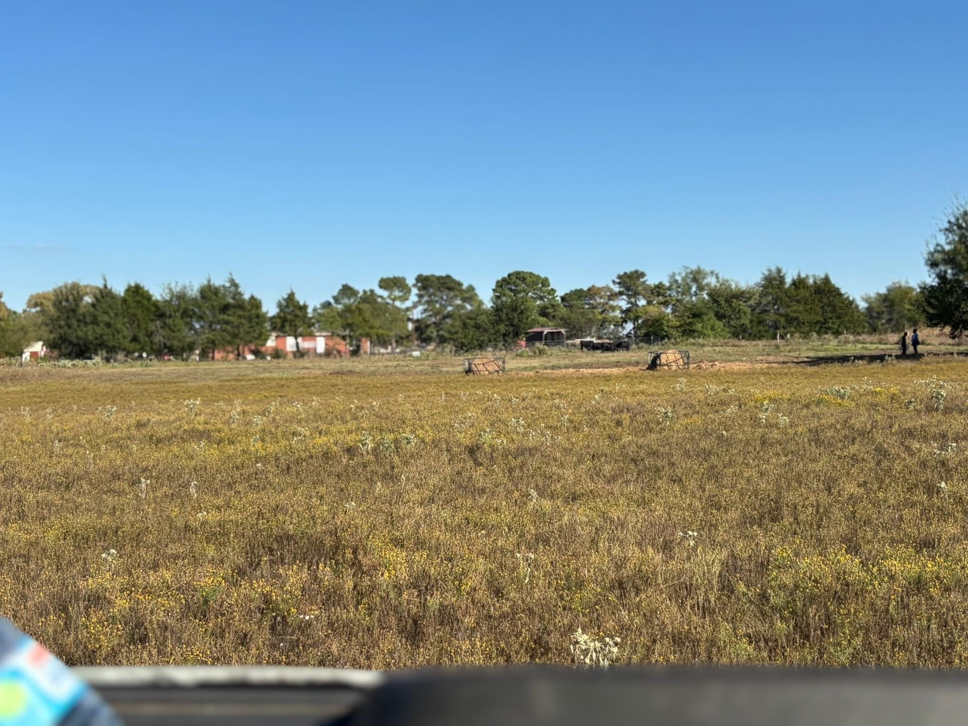11 acres in Fannin County - photo 38
