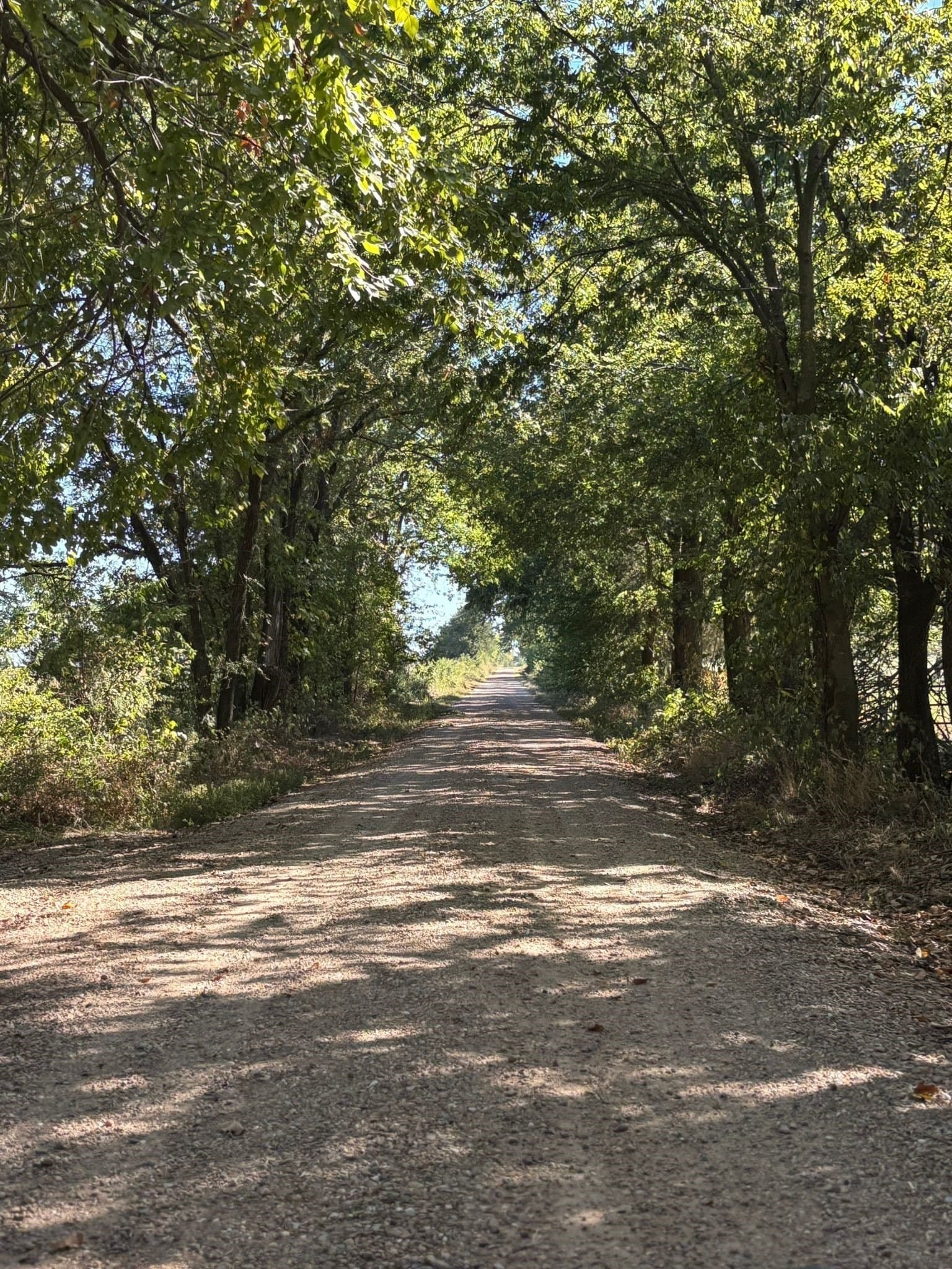 11 acres in Fannin County - photo 28