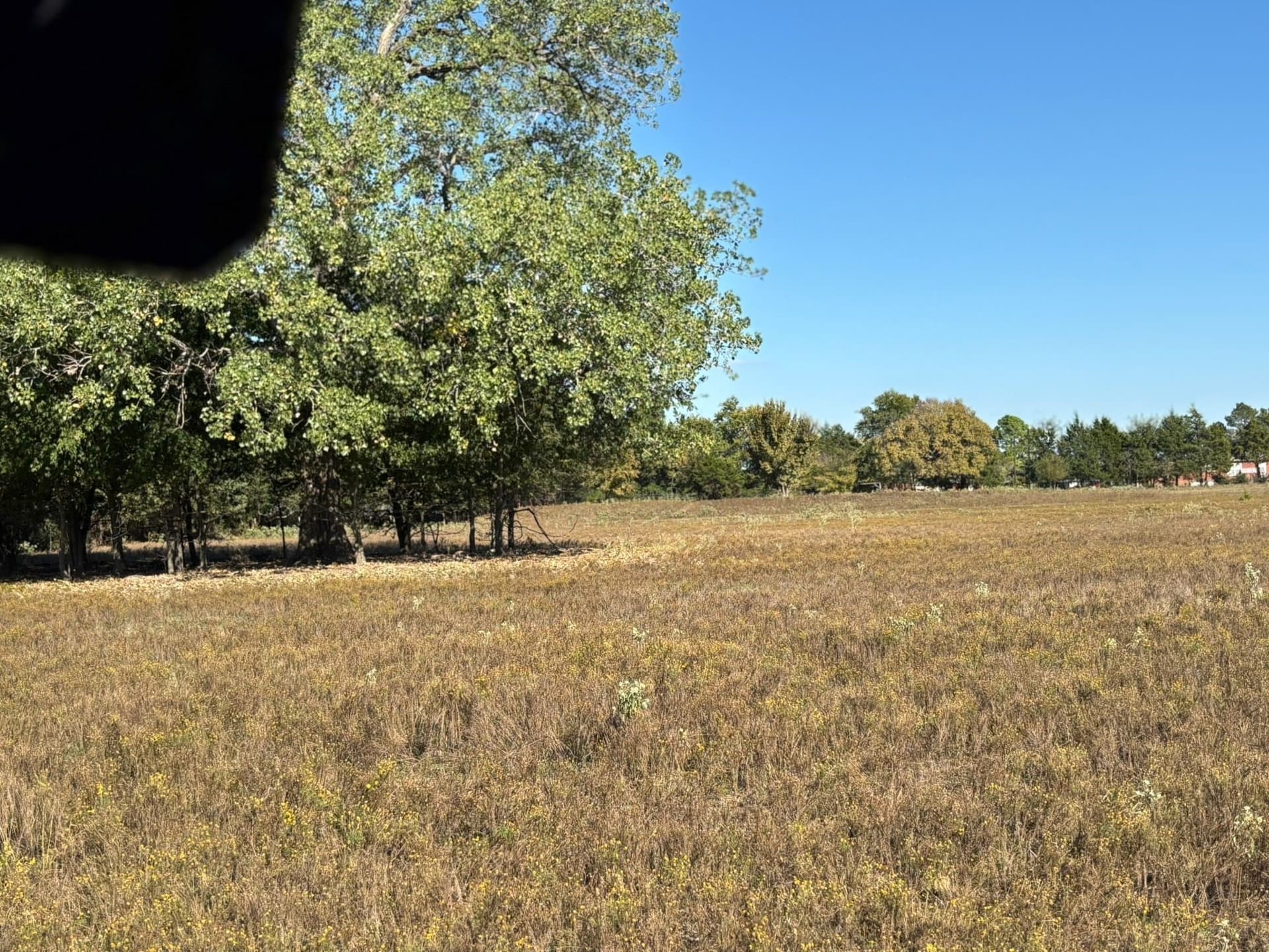 11 acres in Fannin County - photo 39