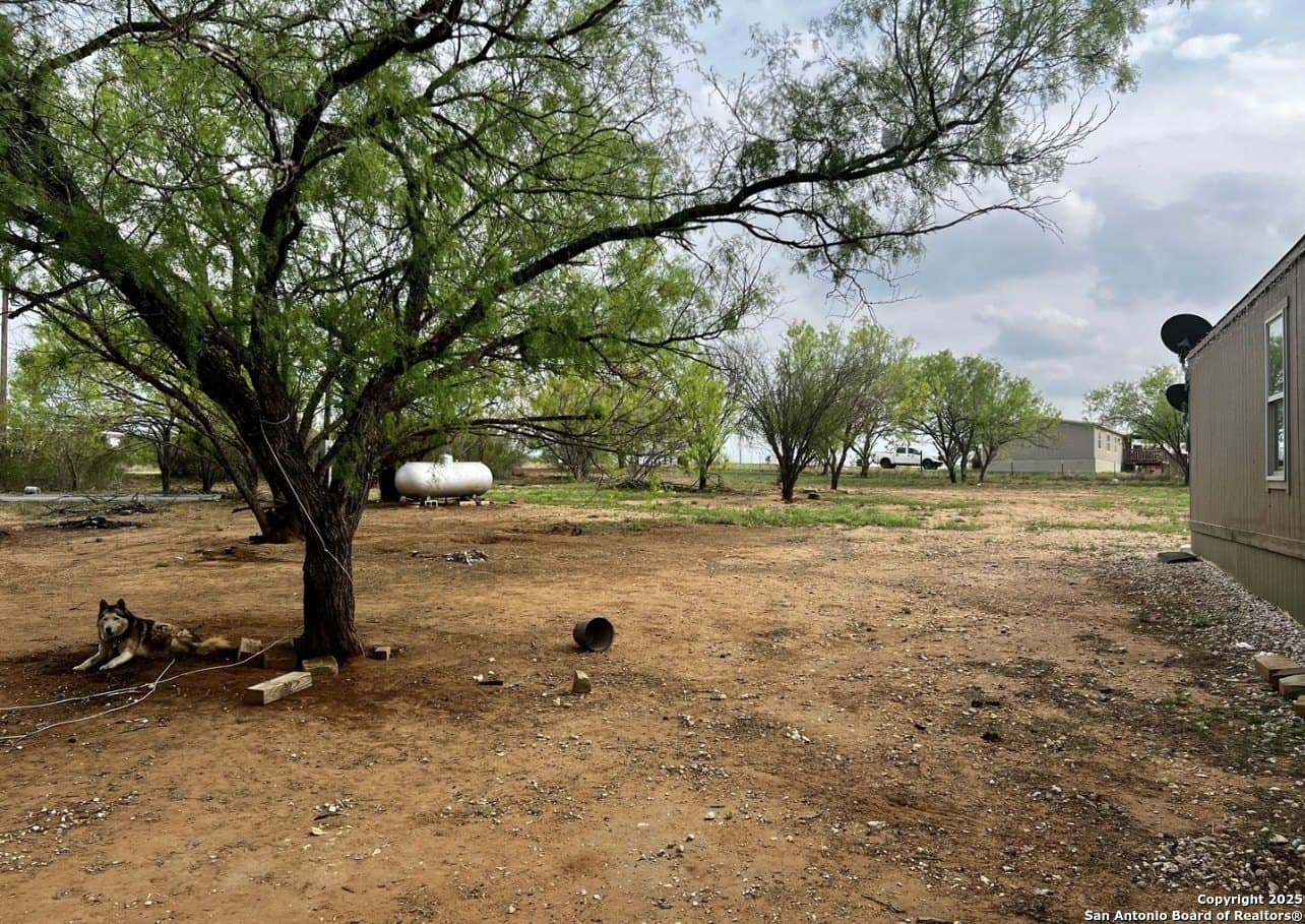 3 acres in Frio County gallery image 4
