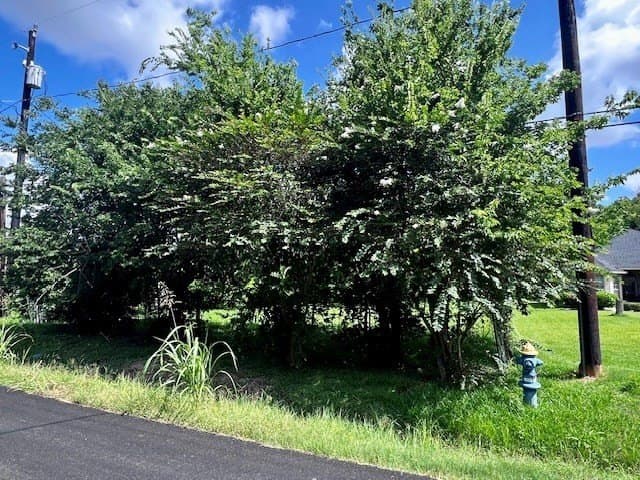 0.29 acres in Texas County gallery image 2