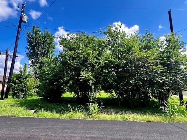 0.29 acres in Texas County gallery image 4