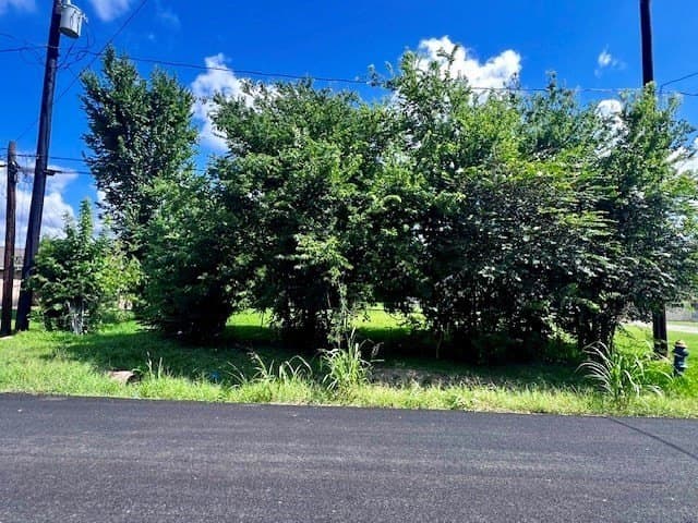 0.29 acres in Texas County - photo 7