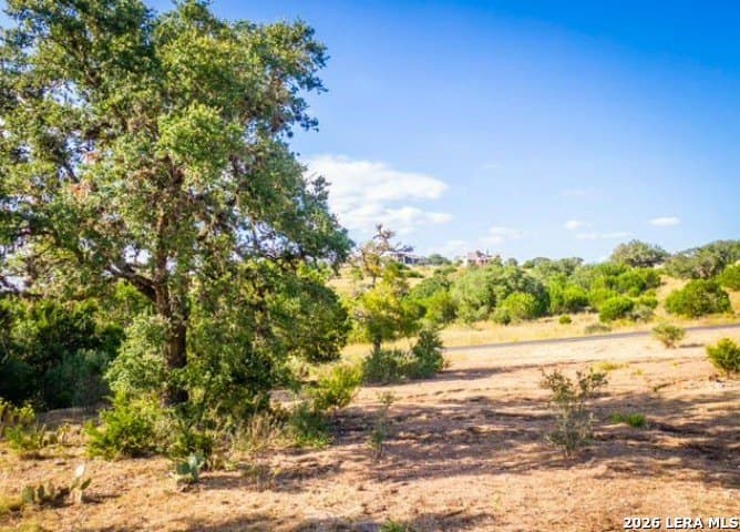 1.05 acres in Comal County gallery image 3