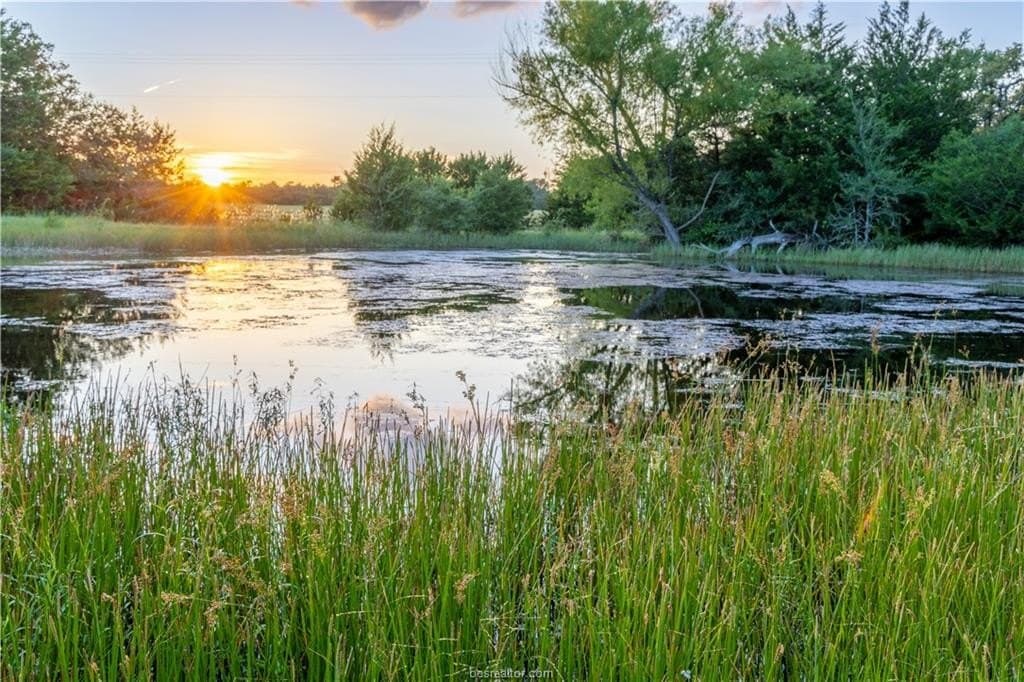 183.7 acres in Brazos County featured view