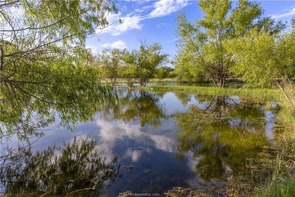 183.7 acres in Brazos County - photo 17