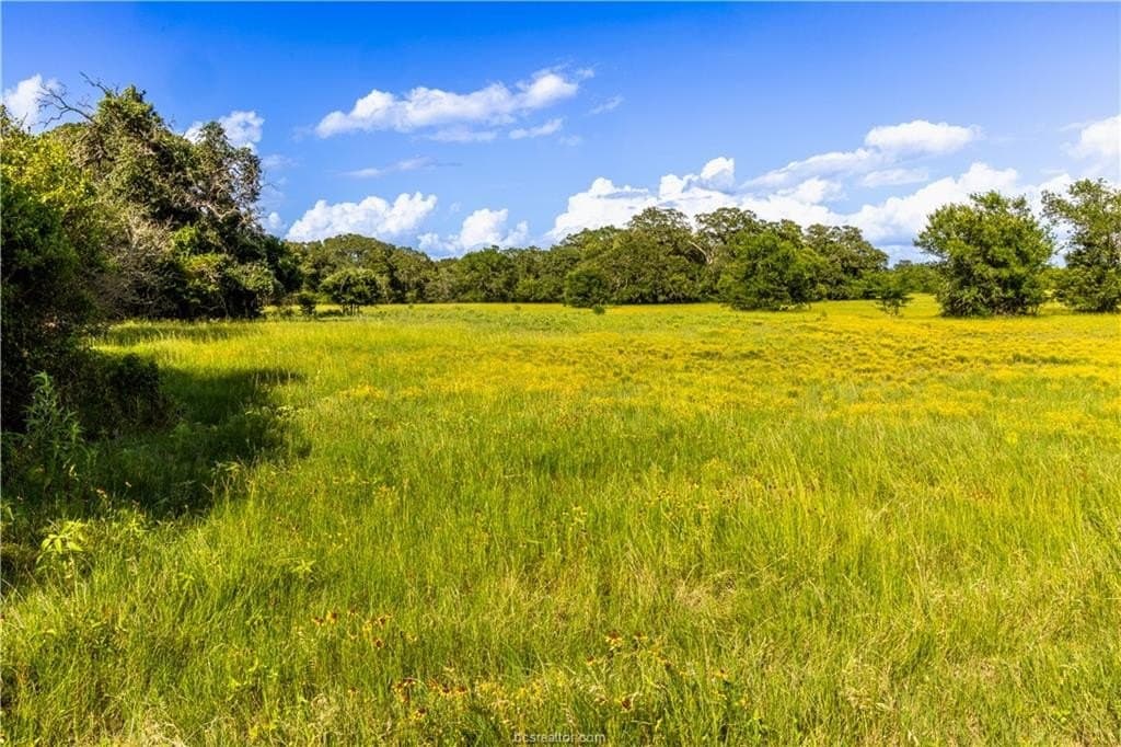 183.7 acres in Brazos County - photo 11