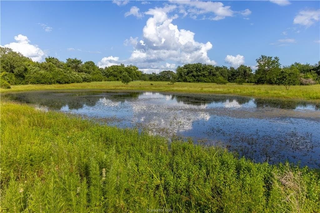 183.7 acres in Brazos County - photo 13