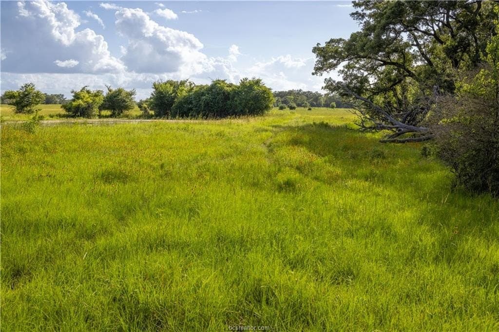 183.7 acres in Brazos County - photo 24