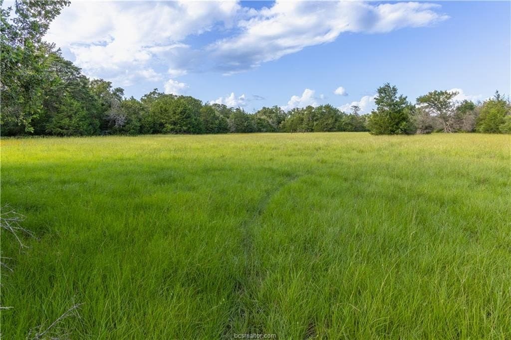 183.7 acres in Brazos County - photo 27