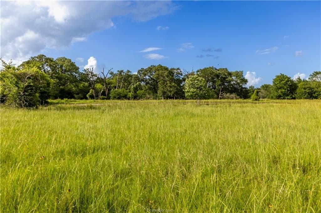 183.7 acres in Brazos County - photo 26
