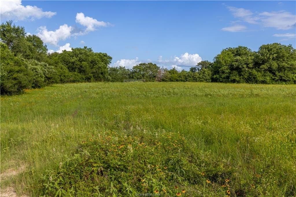 183.7 acres in Brazos County - photo 28