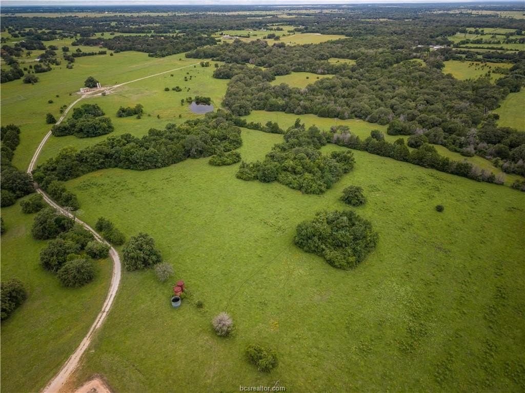 183.7 acres in Brazos County - photo 21