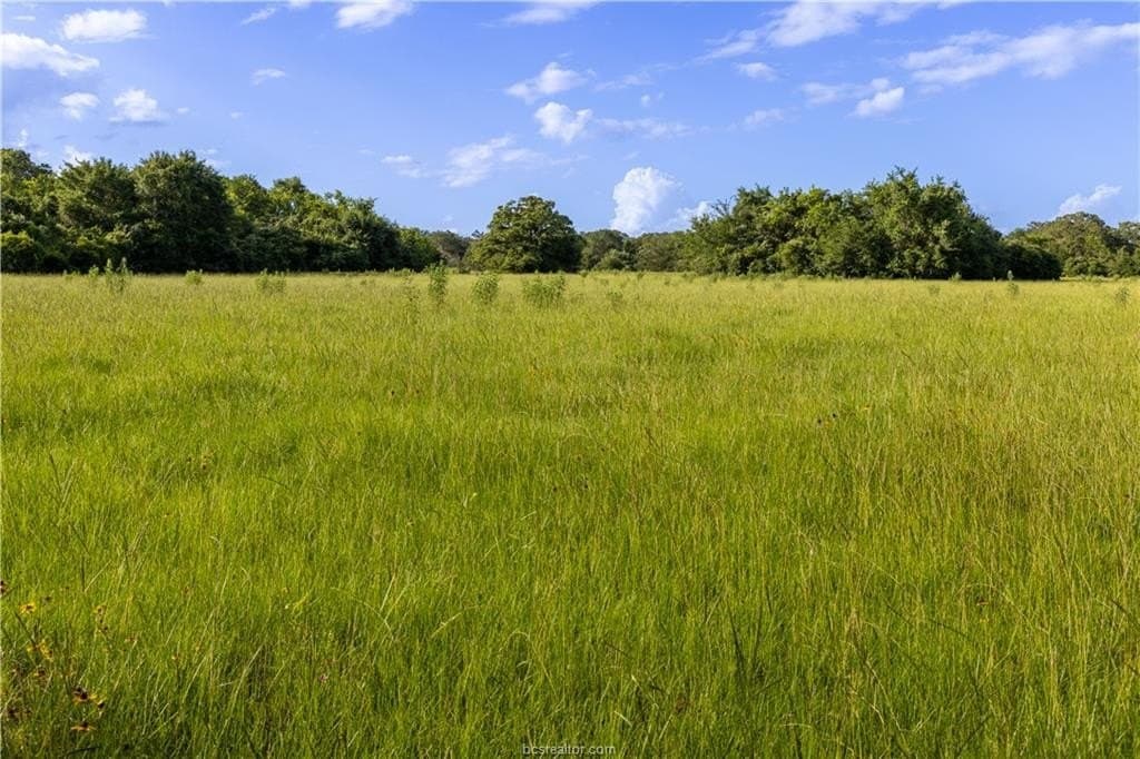 183.7 acres in Brazos County - photo 29
