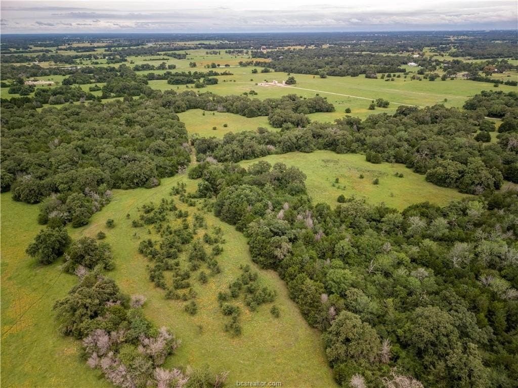 183.7 acres in Brazos County gallery image 2