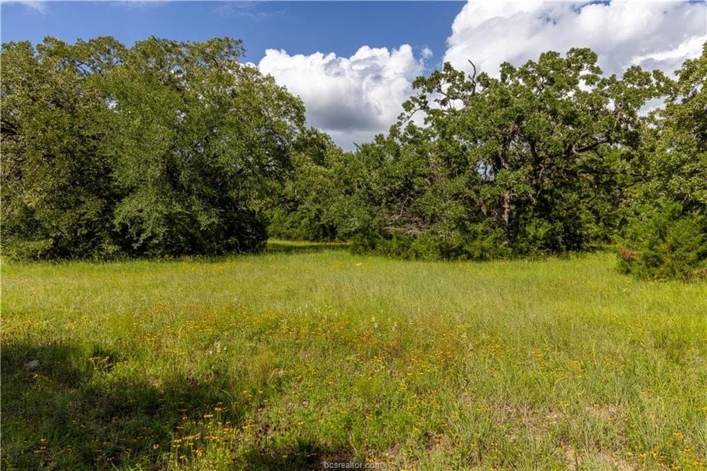 183.7 acres in Brazos County - photo 7