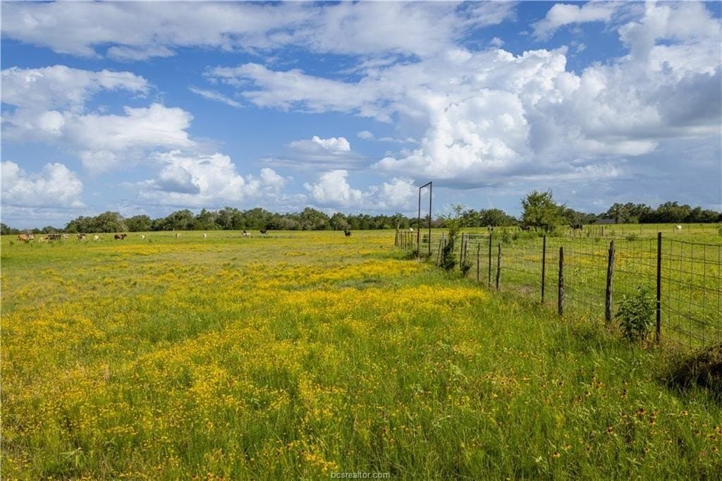 183.7 acres in Brazos County - photo 9