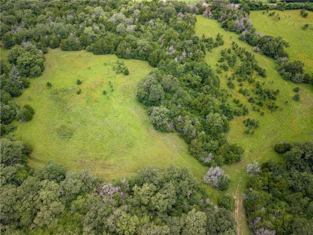 183.7 acres in Brazos County - photo 19