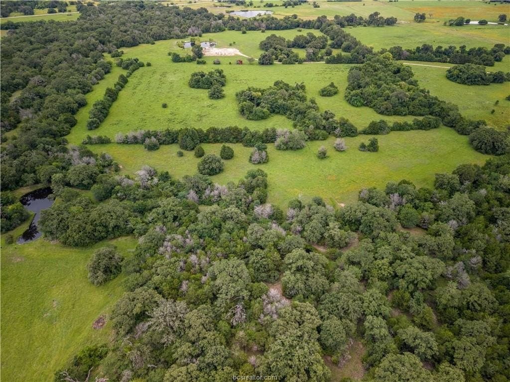 183.7 acres in Brazos County - photo 20