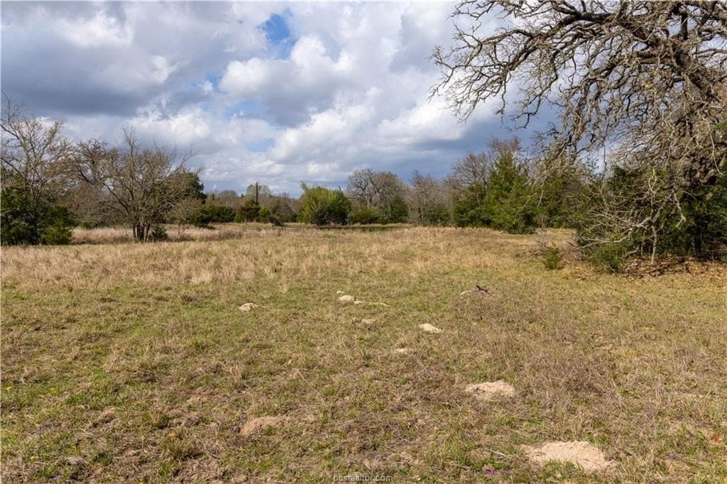 183.7 acres in Brazos County featured view