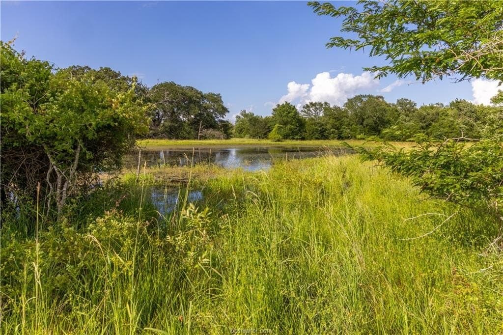 183.7 acres in Brazos County - photo 12