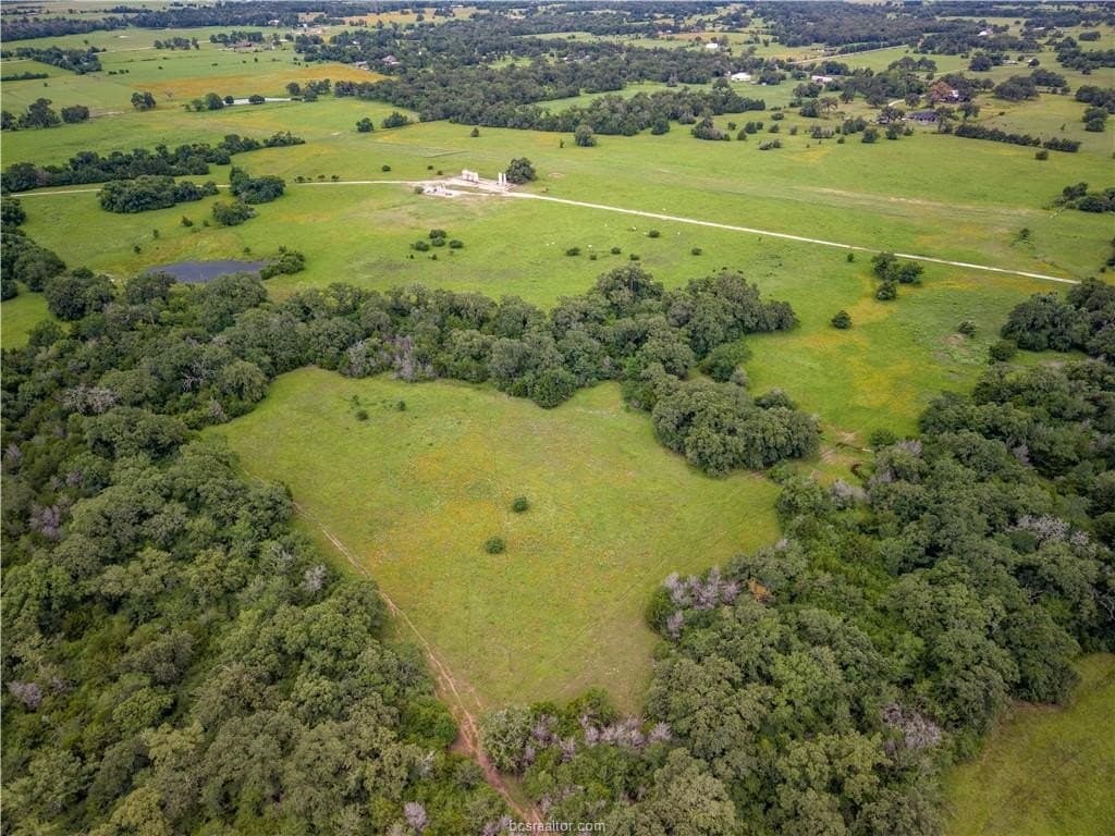 183.7 acres in Brazos County - photo 22