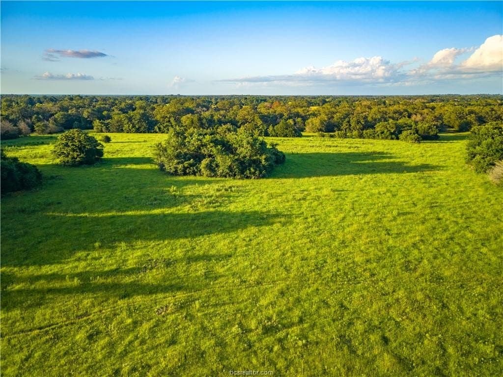 183.7 acres in Brazos County - photo 25