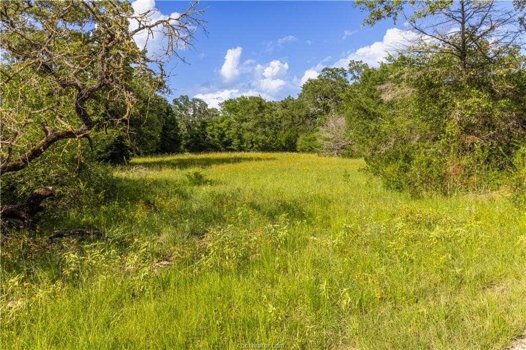 183.7 acres in Brazos County - photo 8