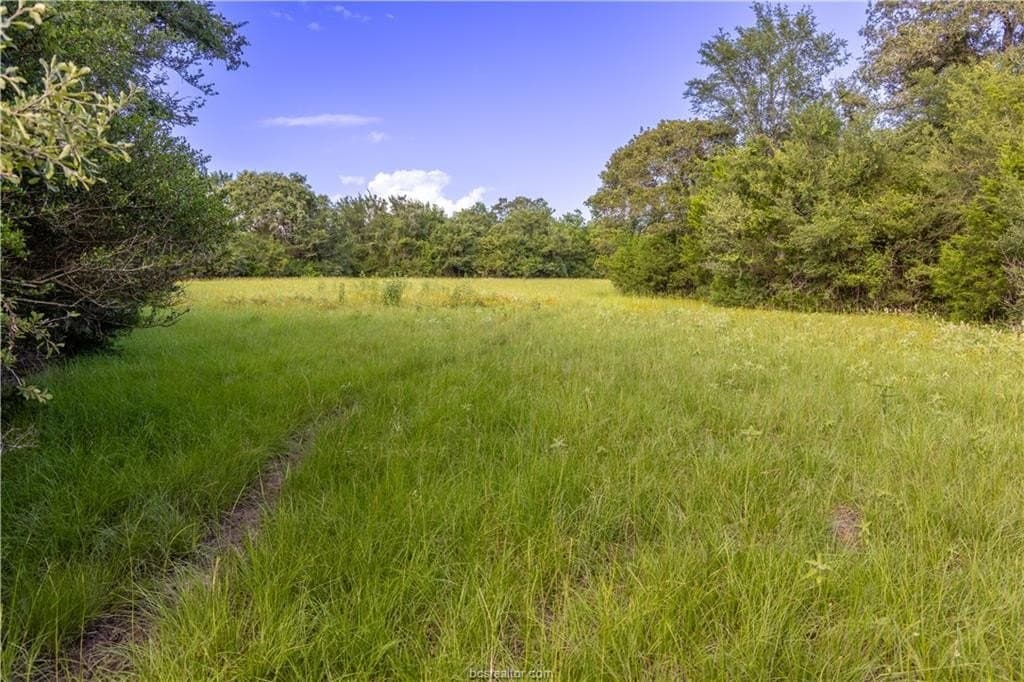 183.7 acres in Brazos County - photo 15