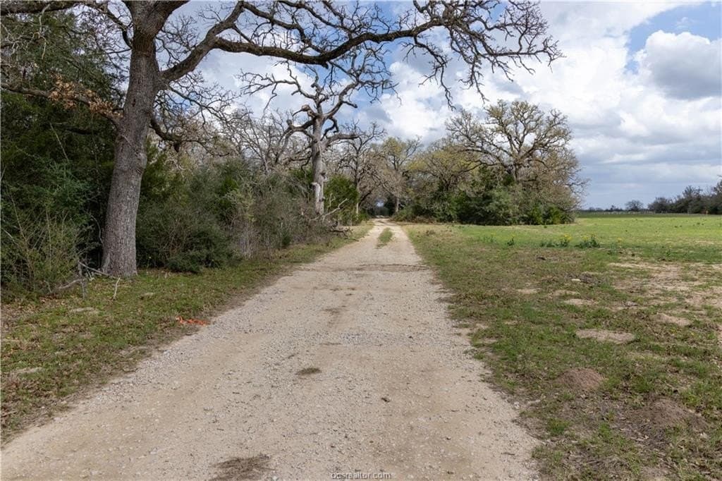 183.7 acres in Brazos County gallery image 4