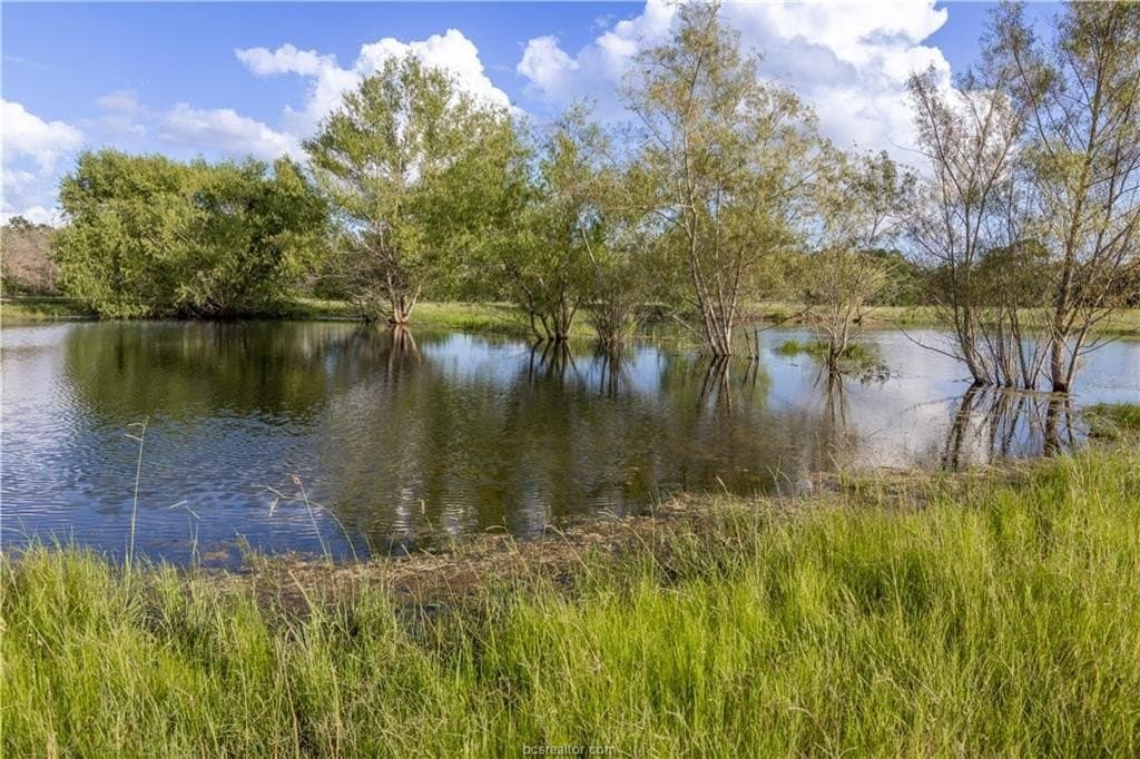 183.7 acres in Brazos County - photo 16