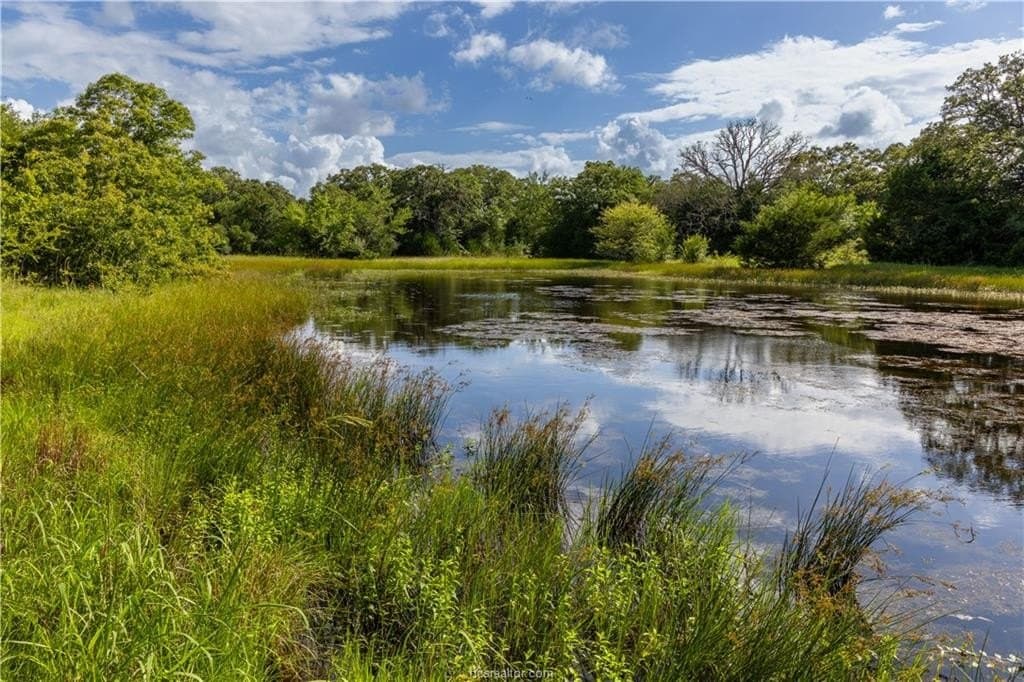 183.7 acres in Brazos County - photo 6