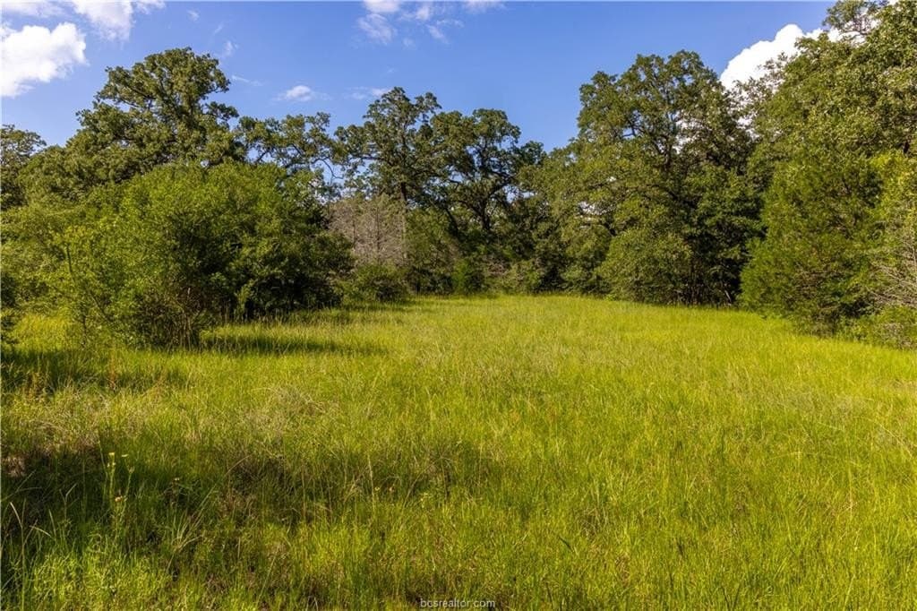 183.7 acres in Brazos County - photo 14