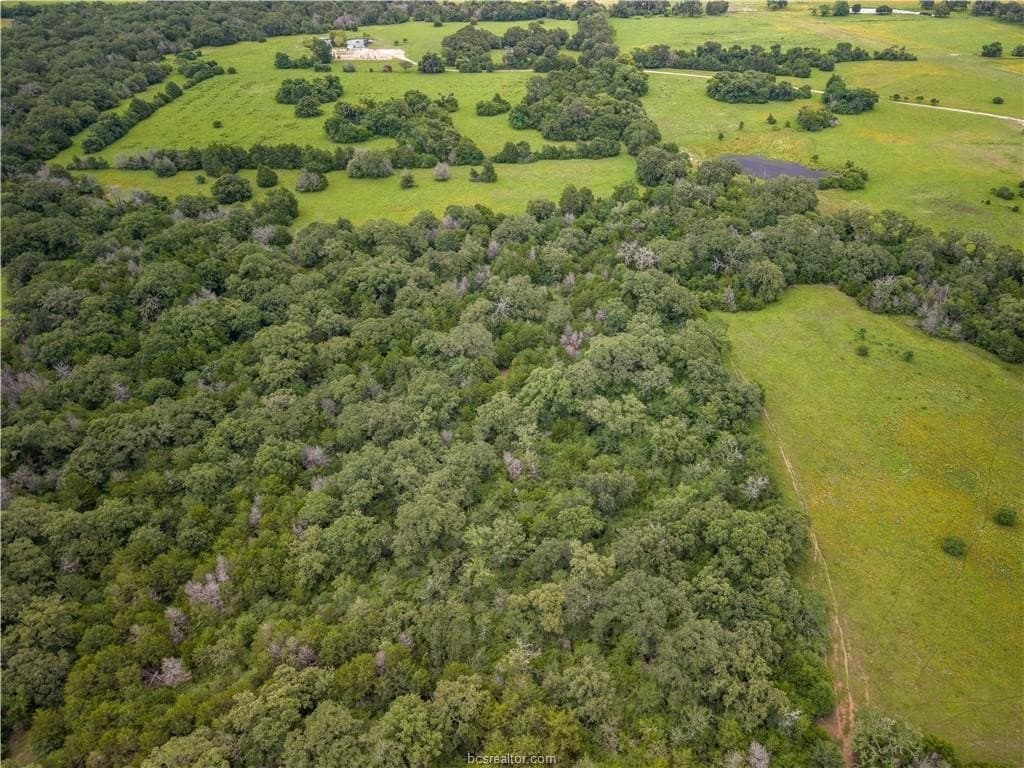 183.7 acres in Brazos County gallery image 3