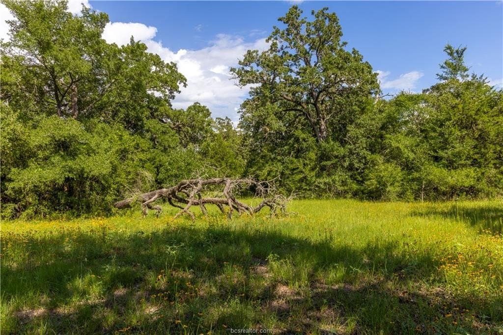 183.7 acres in Brazos County - photo 10