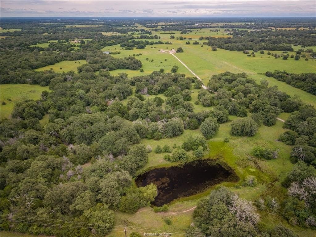 183.7 acres in Brazos County - photo 23
