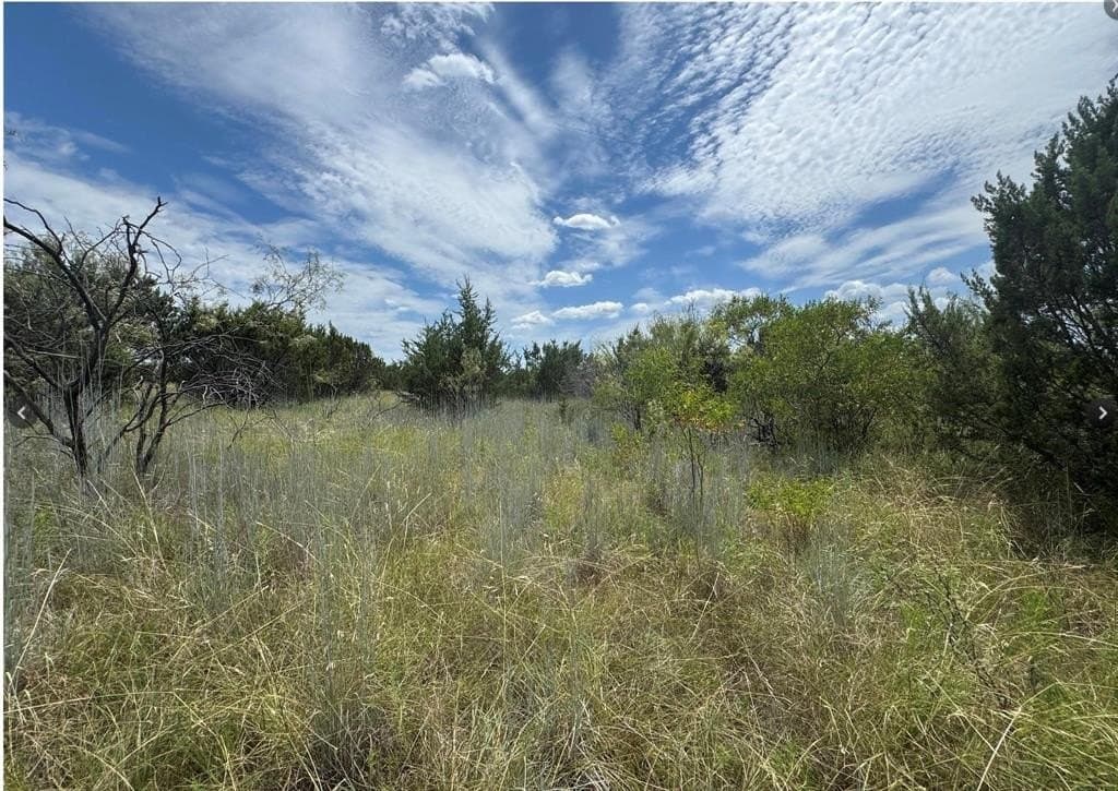 10.01 acres in Hood County gallery image 2