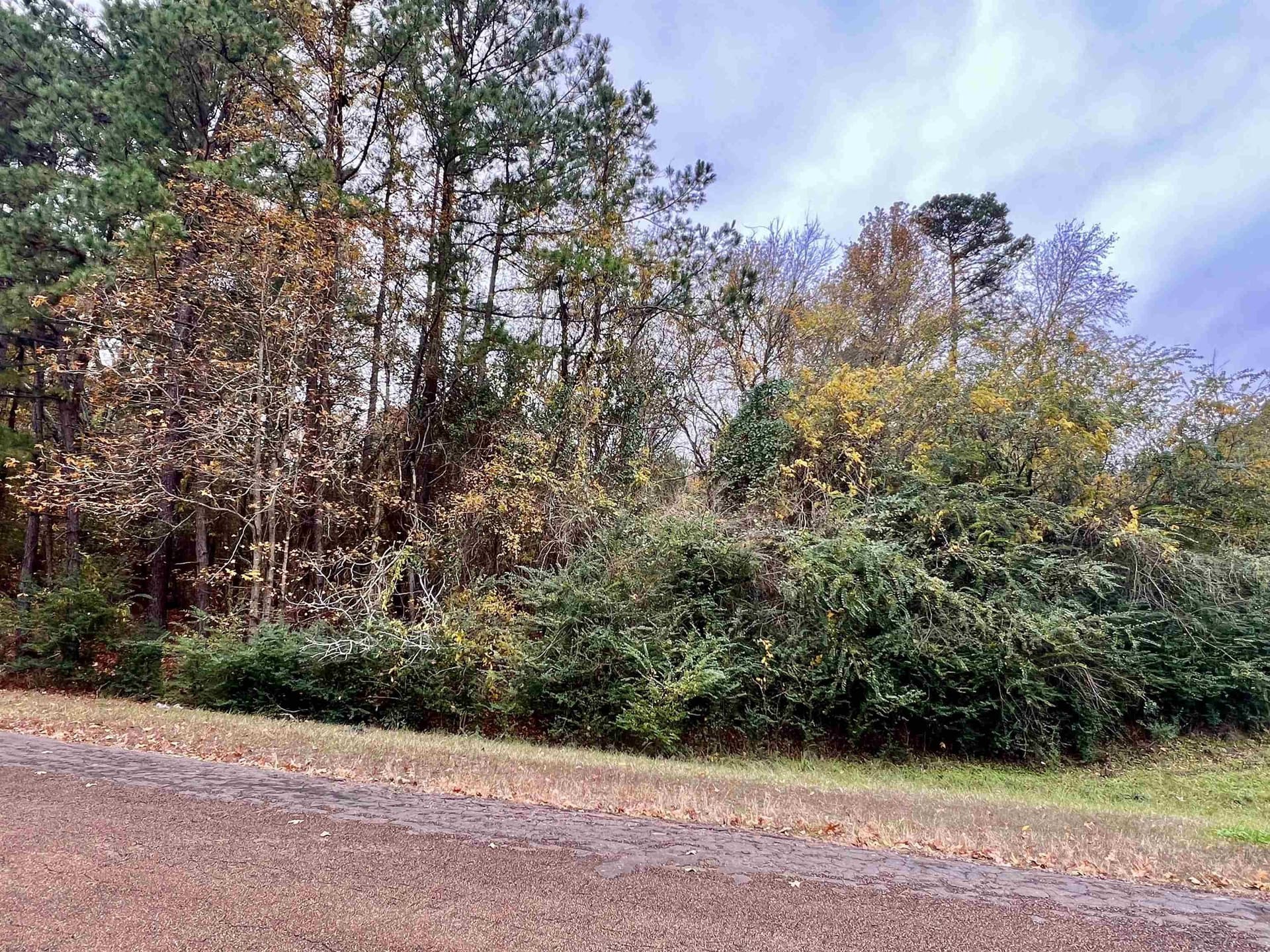 0.65 acres in Harrison County gallery image 2