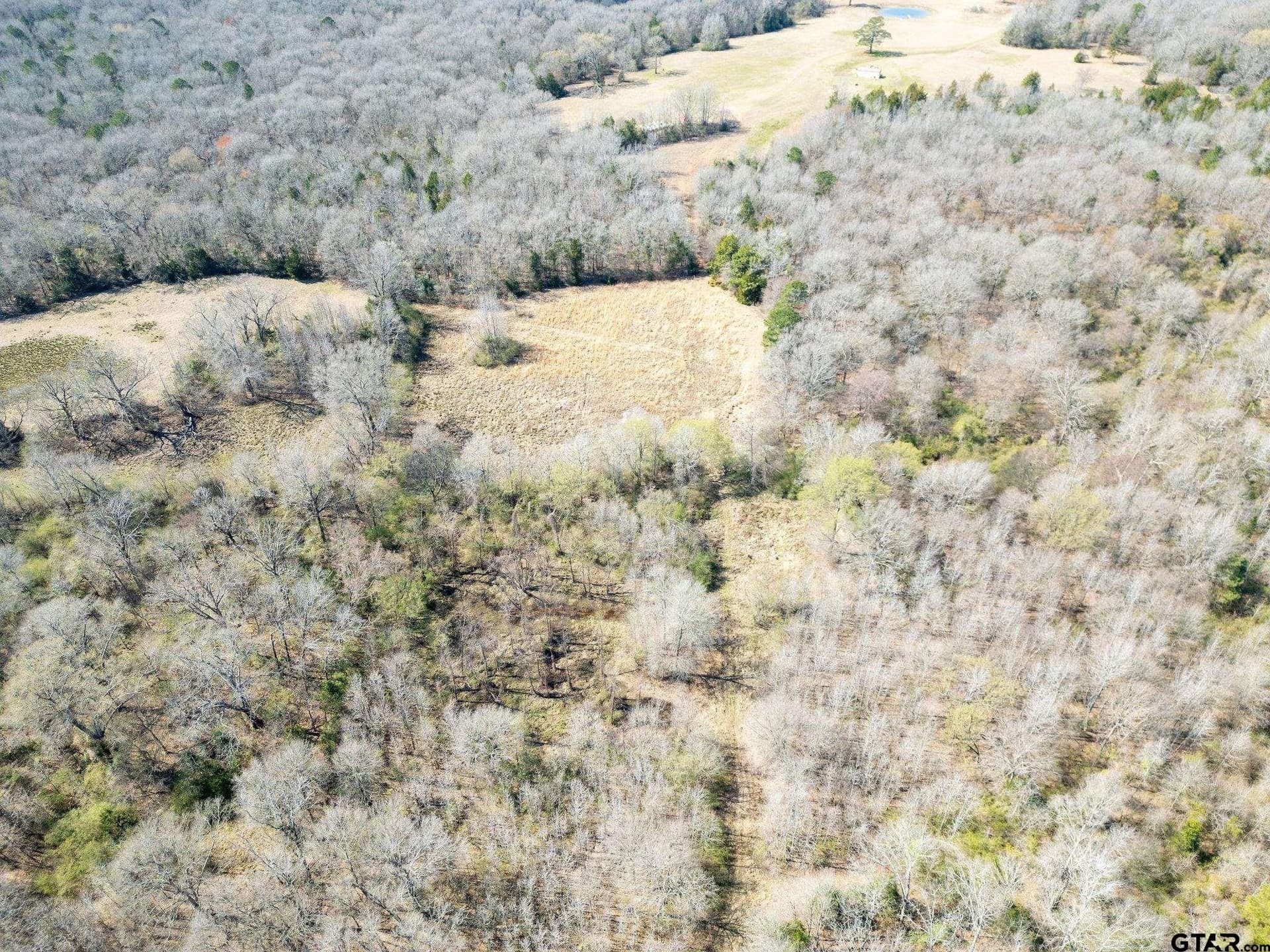 29.95 acres in Cass County featured view