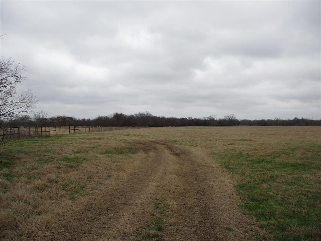 27.7 acres in Rains County gallery image 4