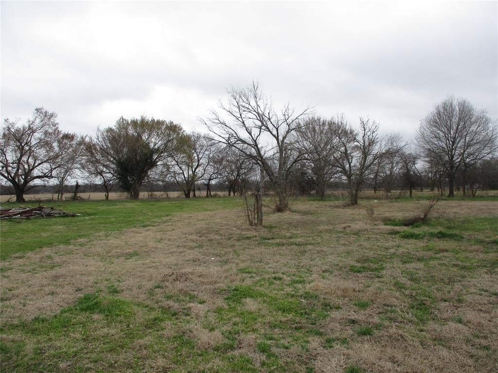 27.7 acres in Rains County gallery image 3
