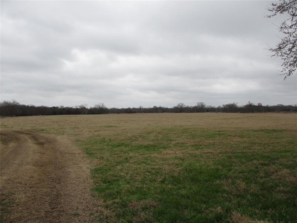 27.7 acres in Rains County featured view
