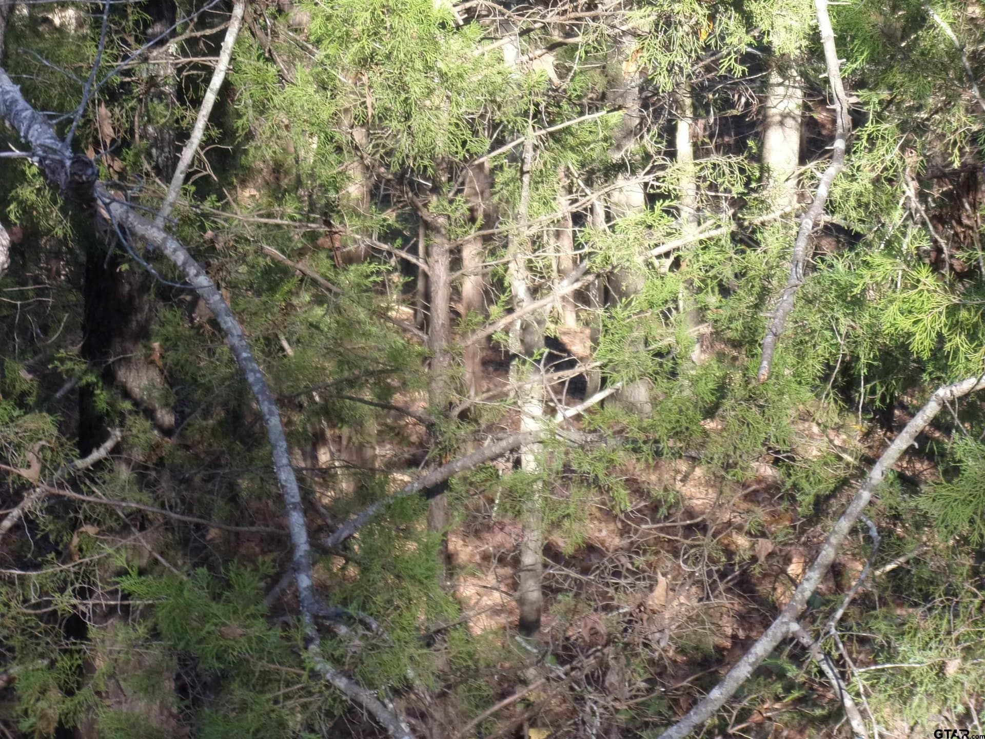 0.55 acres in Van Zandt County - photo 7