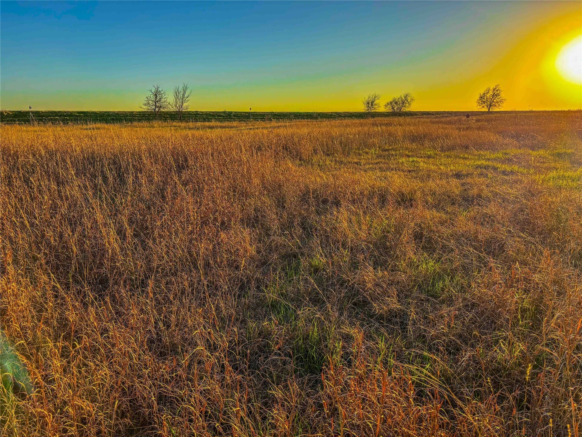 60.23 acres in Bell County - photo 8