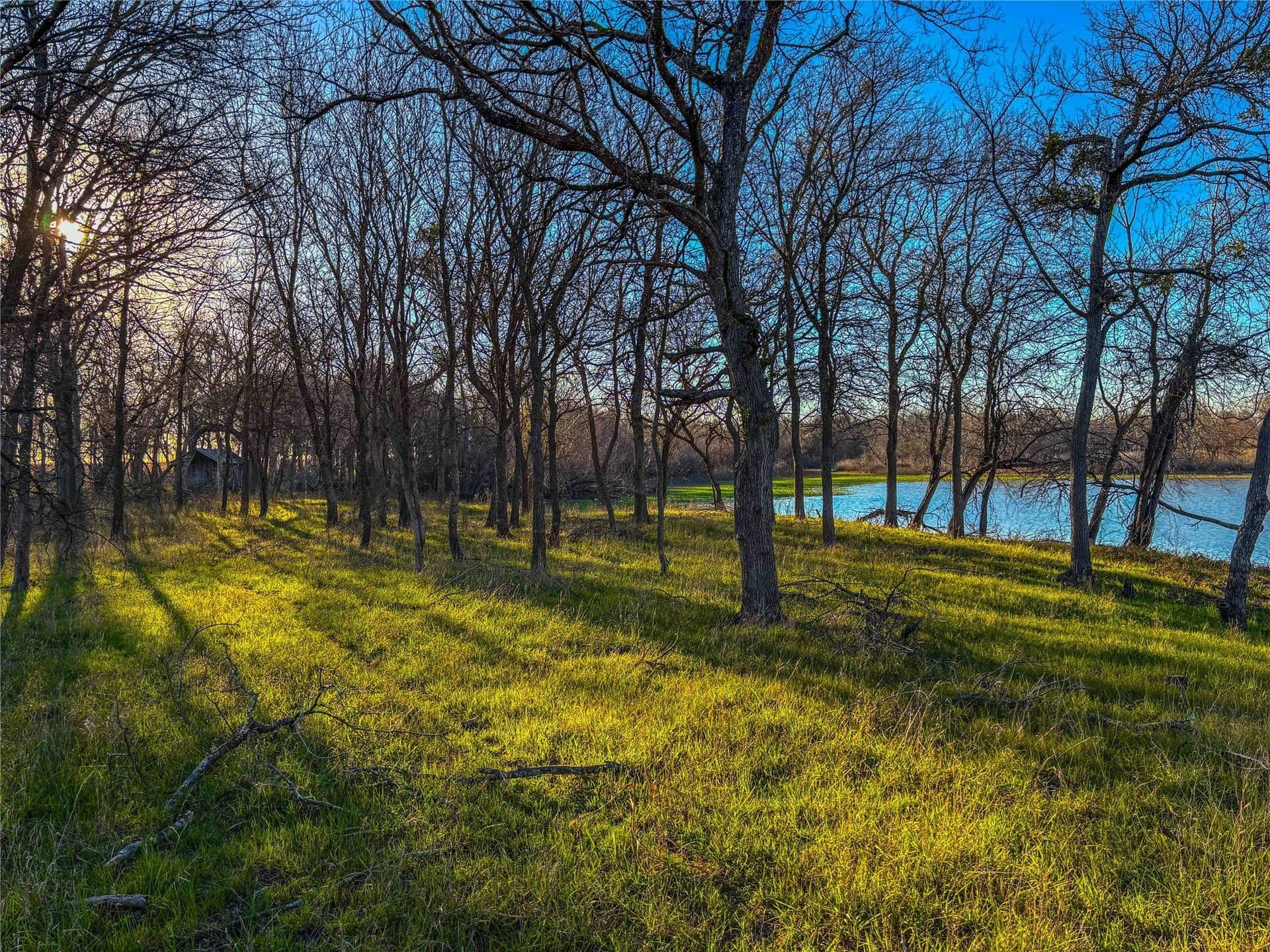60.23 acres in Bell County - photo 22