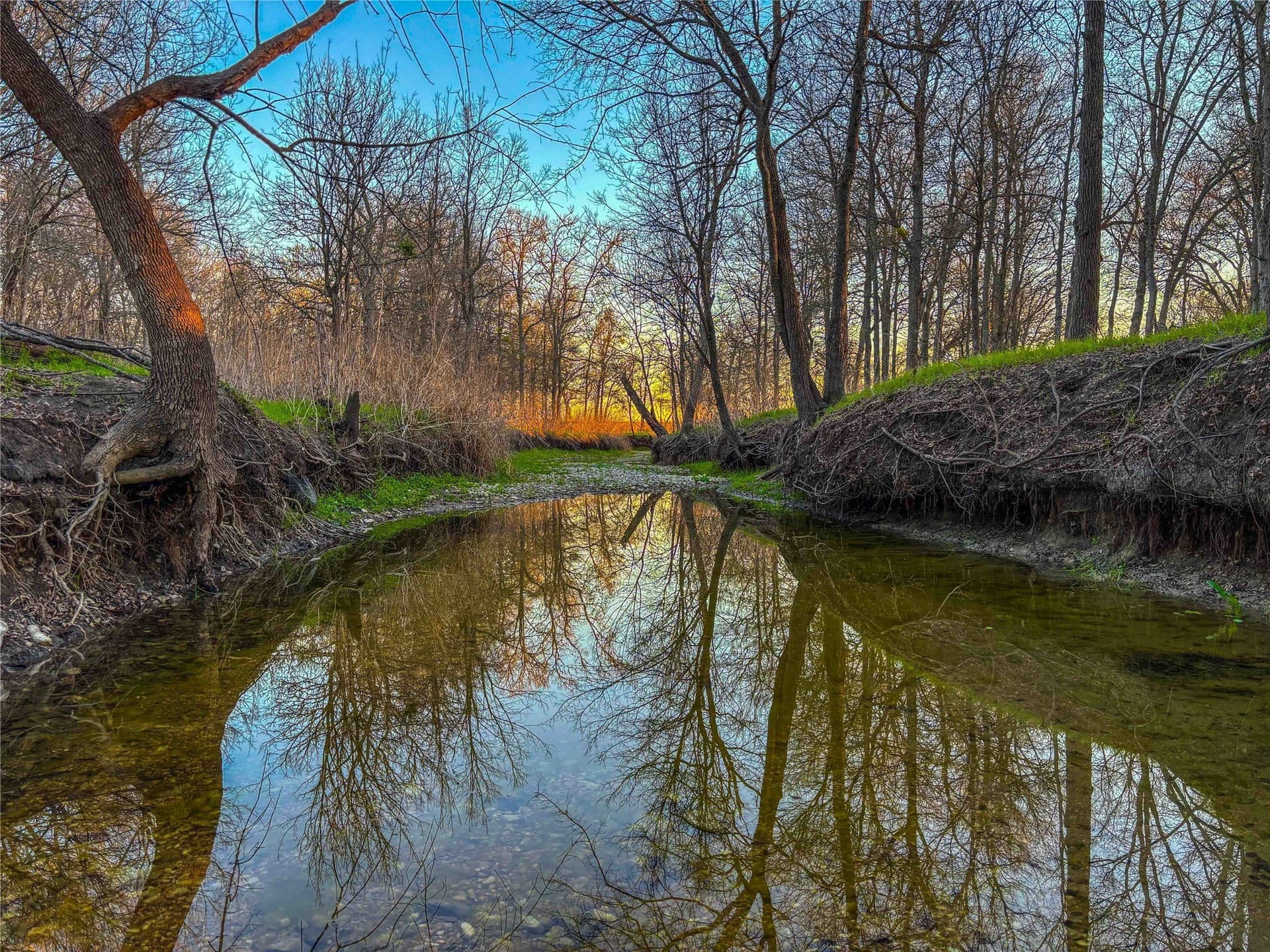 60.23 acres in Bell County - photo 3