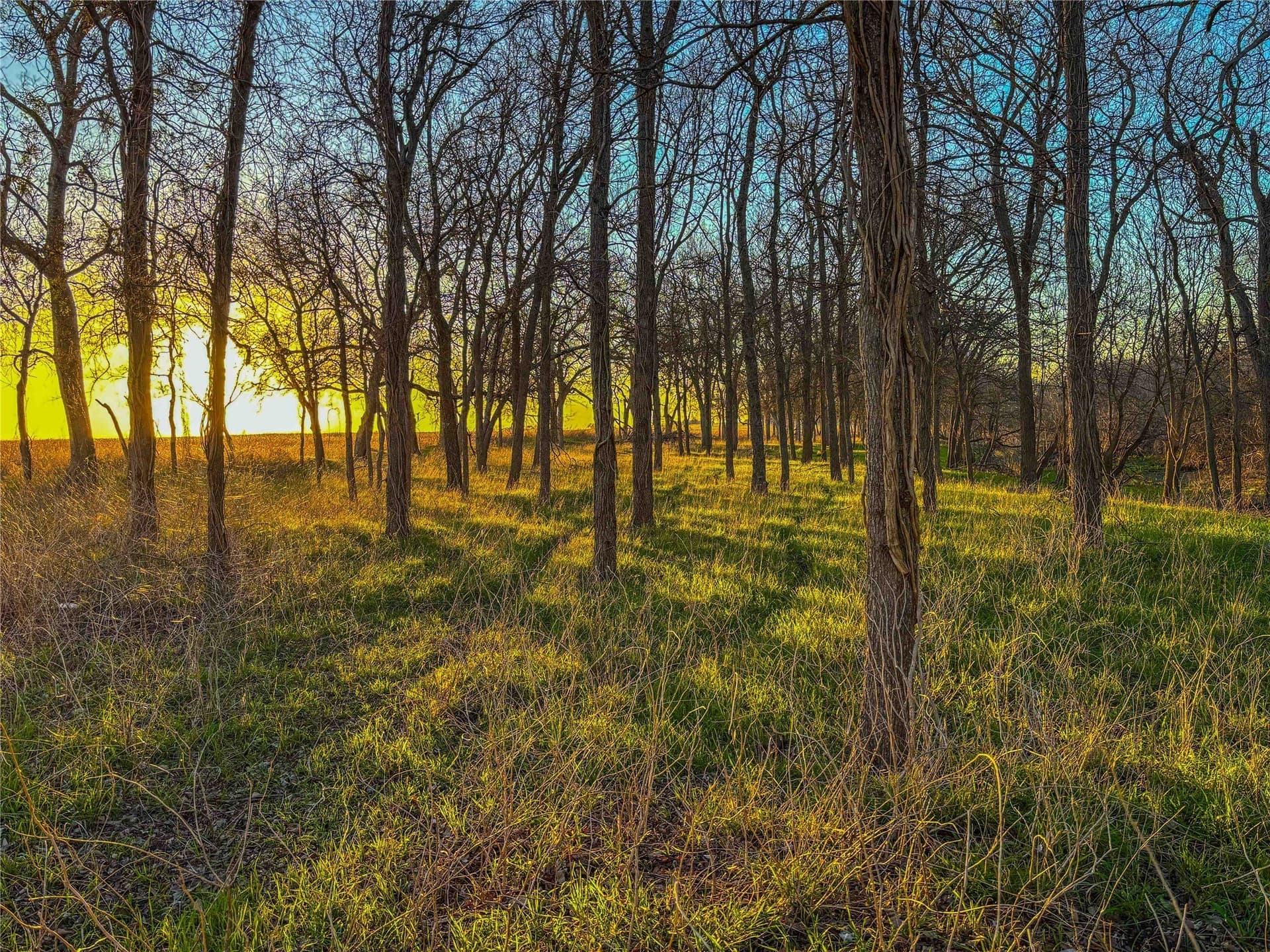 60.23 acres in Bell County - photo 4
