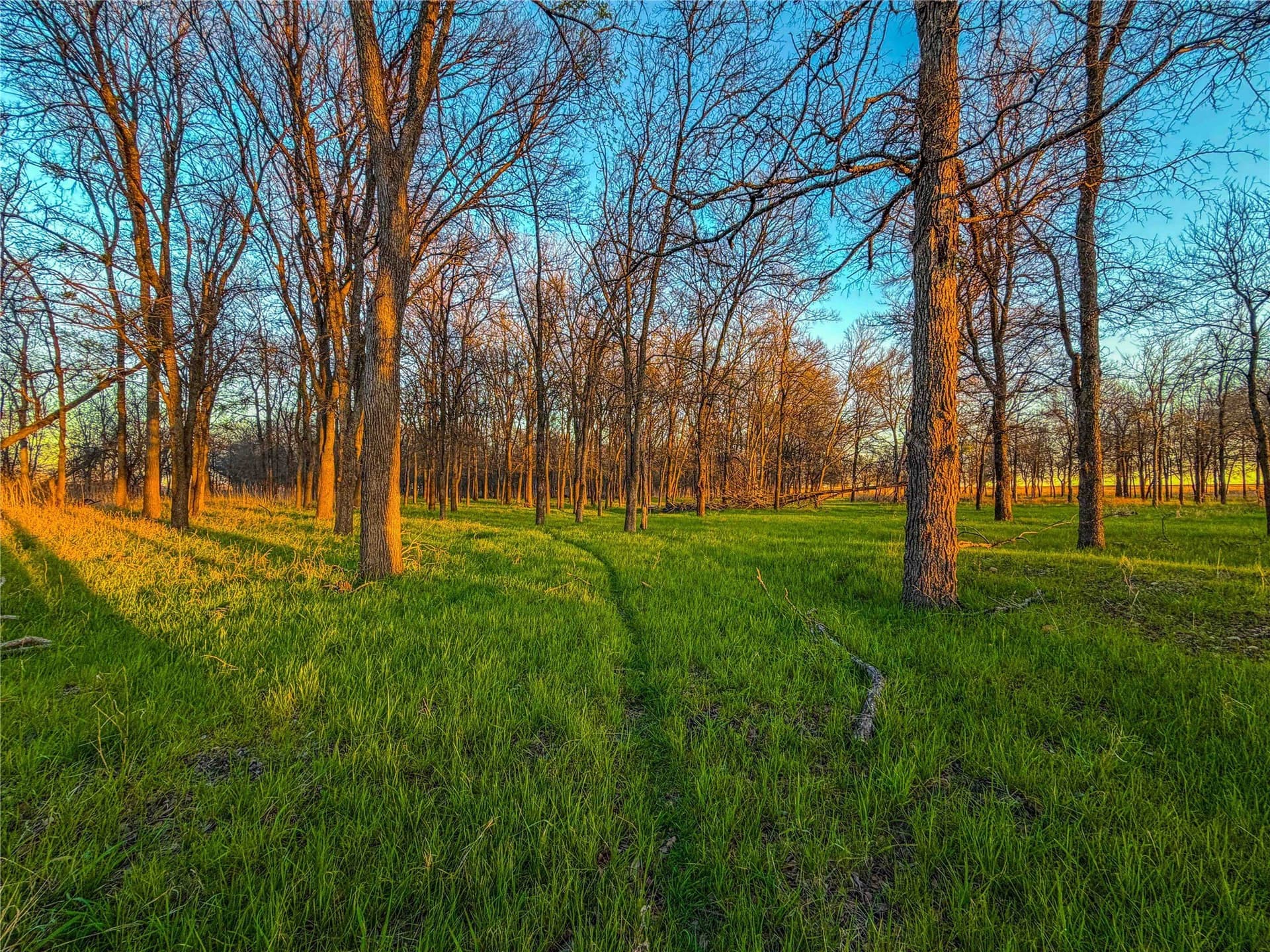 60.23 acres in Bell County - photo 21